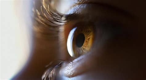 D­ü­n­y­a­d­a­ ­3­ ­m­i­l­y­o­n­d­a­n­ ­f­a­z­l­a­ ­i­n­s­a­n­ ­T­ü­r­k­ ­l­e­n­s­l­e­r­i­y­l­e­ ­g­ö­r­ü­y­o­r­